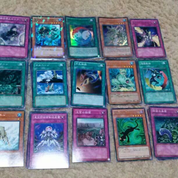 遊戯王 引退 バラOK 楽天市場】薔薇 遊戯王の通販