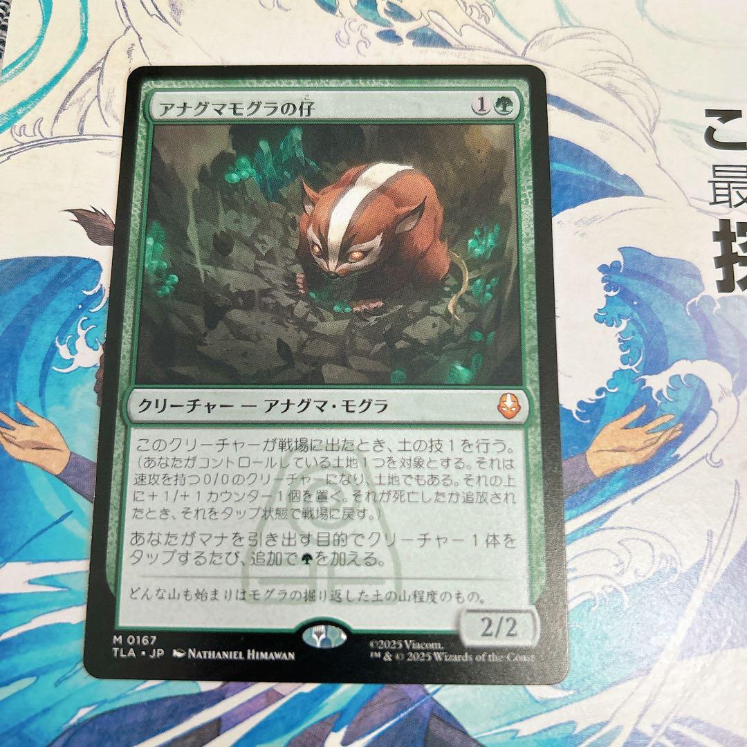 【MTG】アナグマモグラの仔 アナグマモグラの仔/Badgermole Cub《日本語》【TLA】