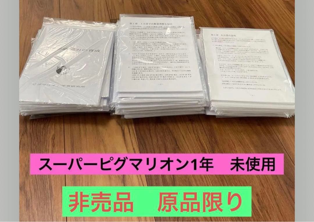 最新　ピグマリオン　1年生　1年間　小1 2024 記入なし　新品　未使用　教育