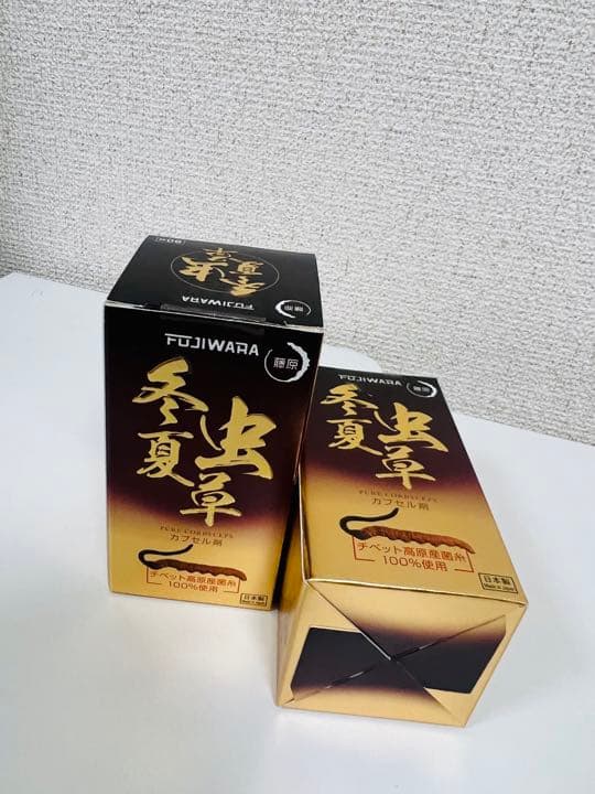 冬虫夏草 2箱セット