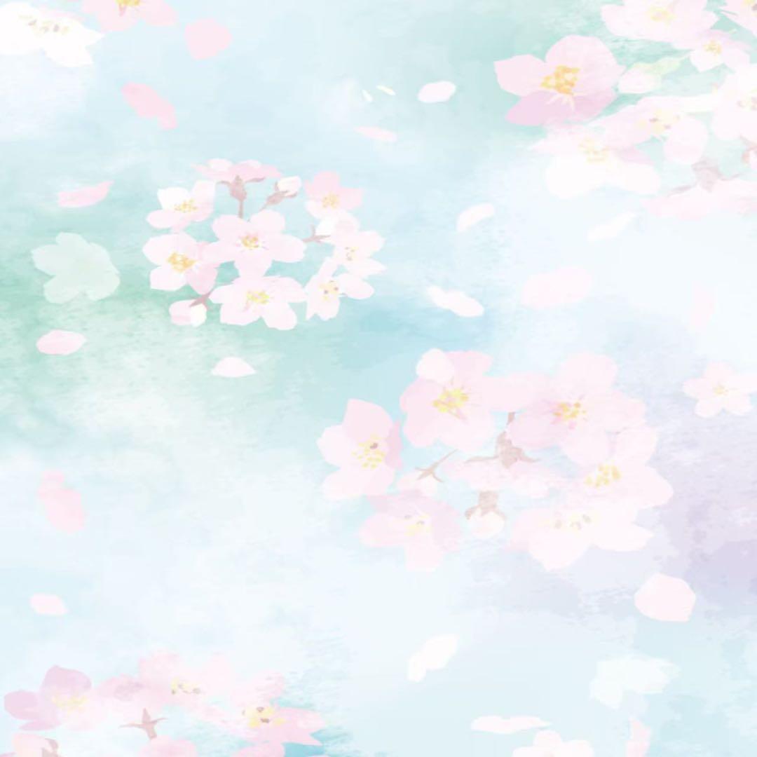 ここのあ様2点セット