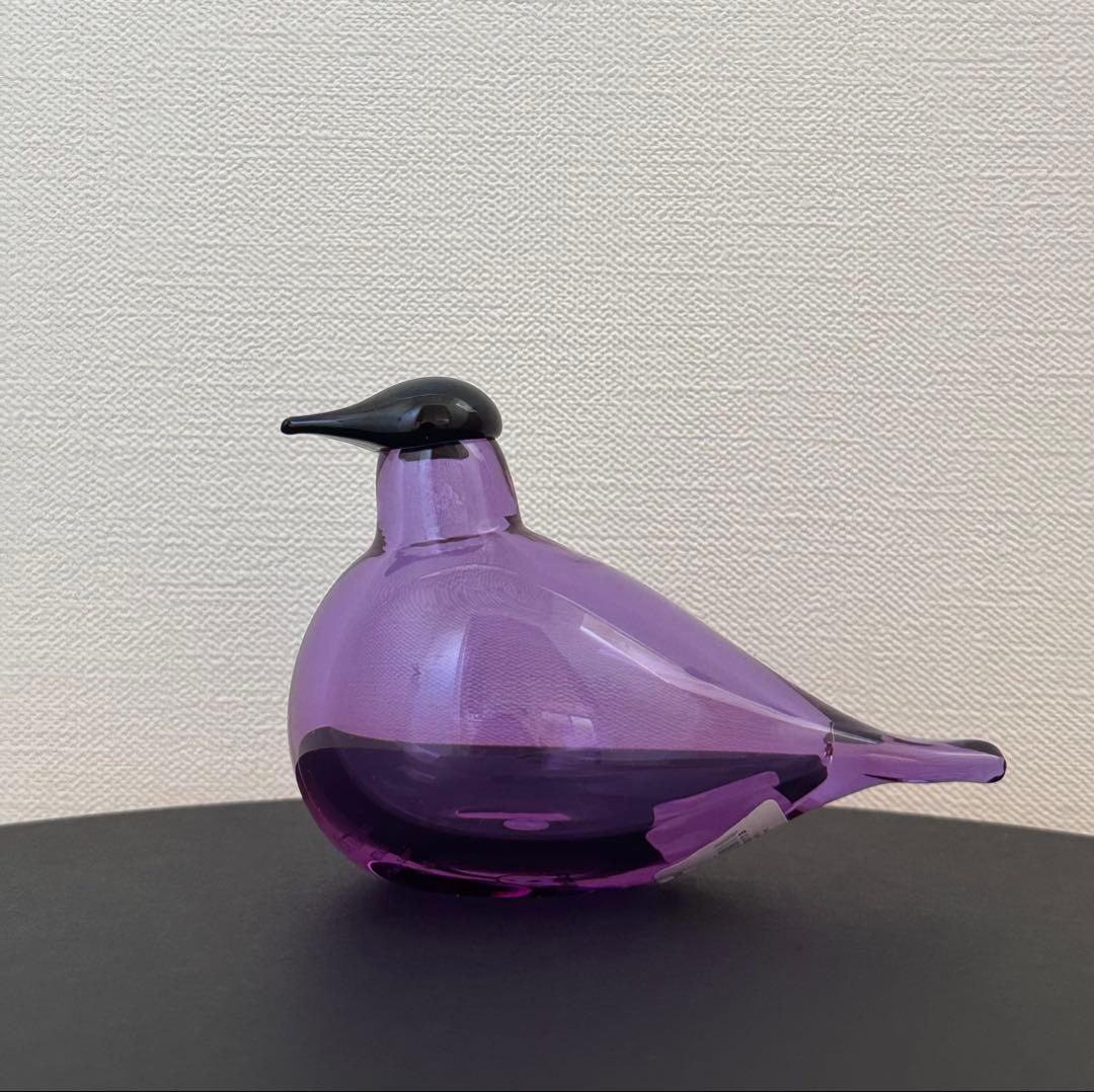 IITTALA Bird チフチャフ 表参道 アメジスト バード イッタラ - メルカリ