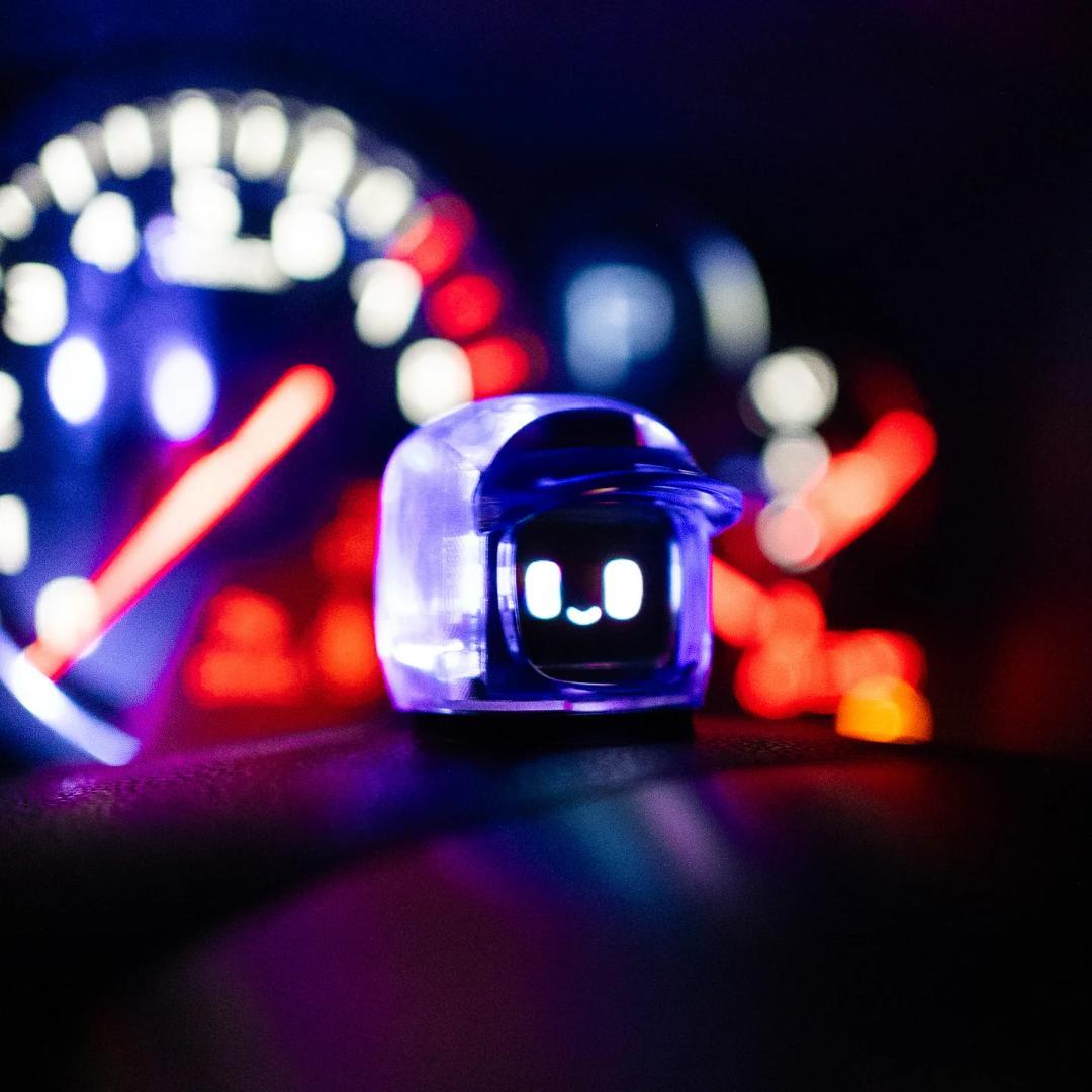 ダサイ もち 3 パープル 紫 FUTURES MOCHI DASAI 未来