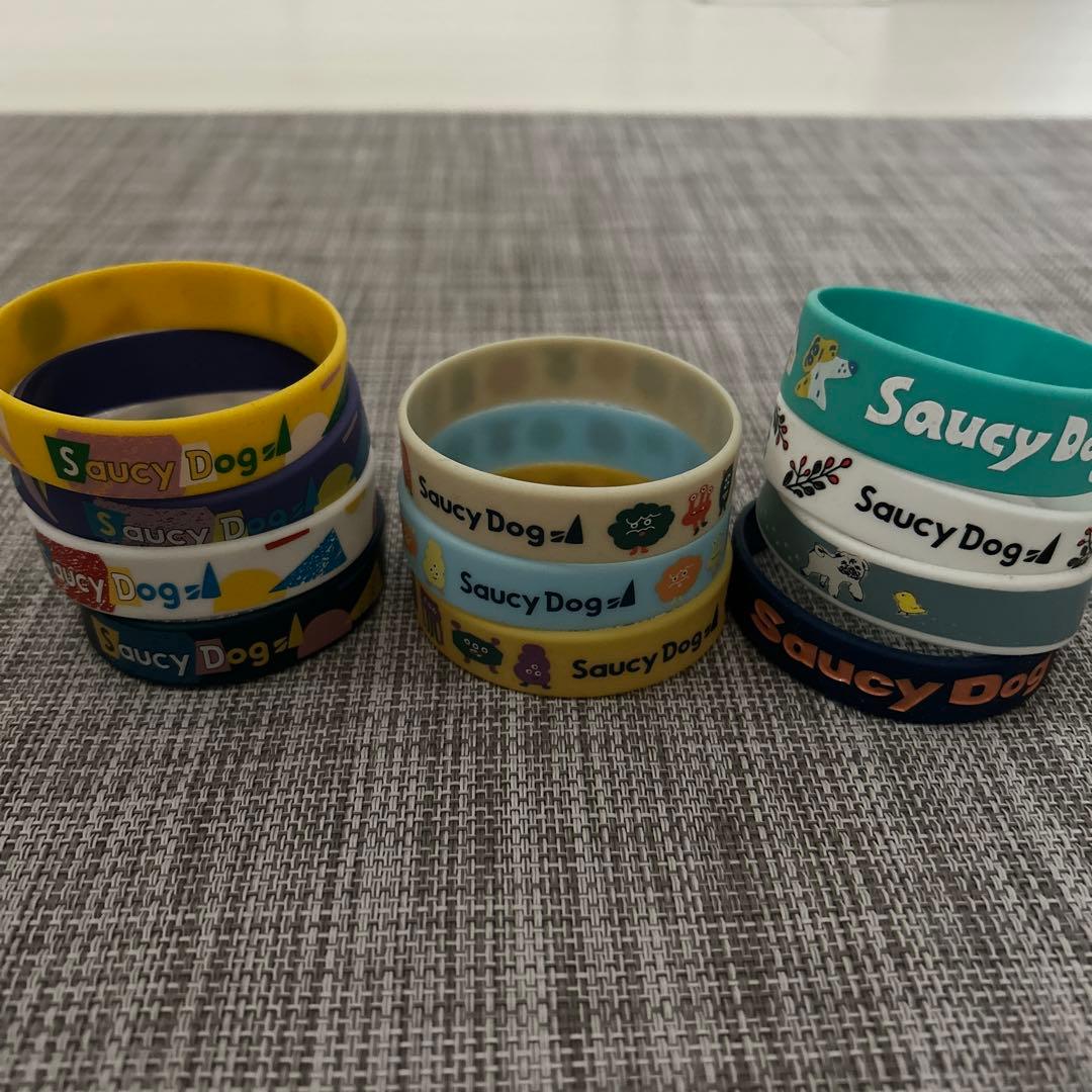 Saucy Dog ラバーバンド 11個セット 完売