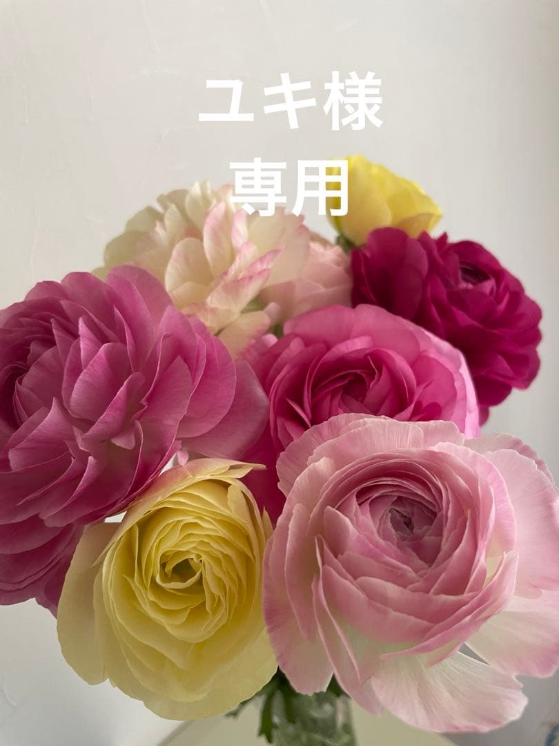 専用 サルート 84G RP ガーターベルトm&ソングL