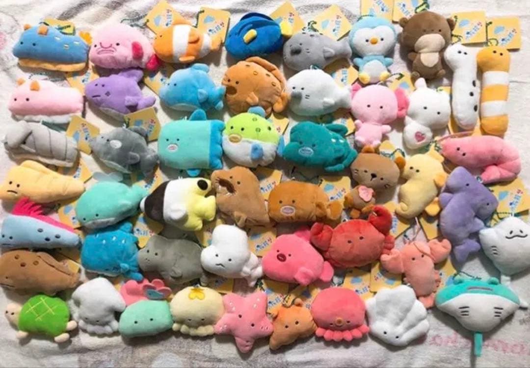 つぶらな瞳の水族館　全種類 つぶらな瞳の水族館 | Yell World｜エールワールド