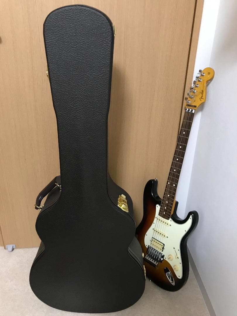 テイラー　純正ハードケース　214ceDLX　Taylor hardcase