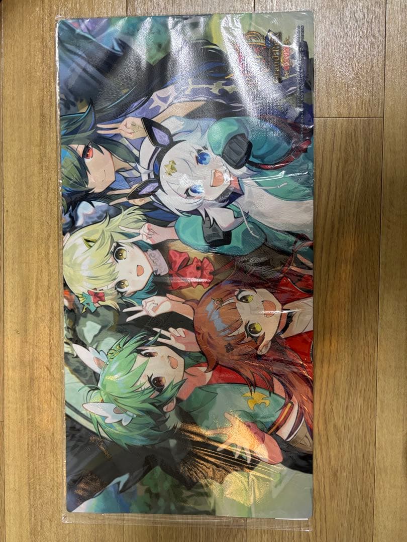 DMGP2025-1st 星龍パーフェクト・アース プレイマット　ドラゴン娘