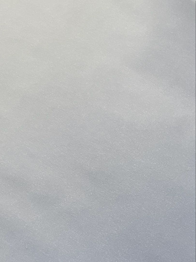 ふるふる出品 タカラトミー（TAKARA TOMY） ぷにるんず ぷにすたる クリアブルー