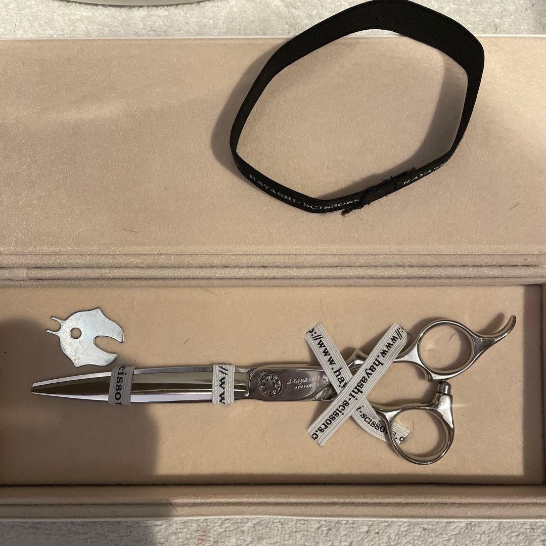 ハヤシシザース