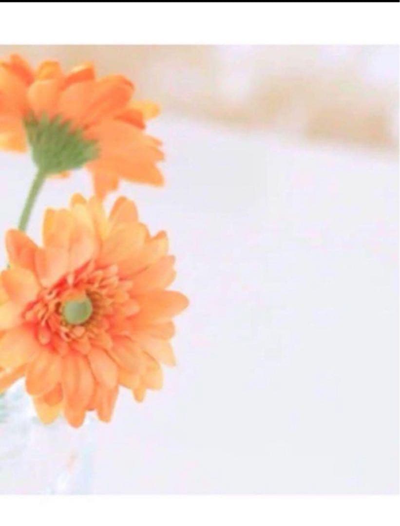 ナツ 3点おまとめ クリーム