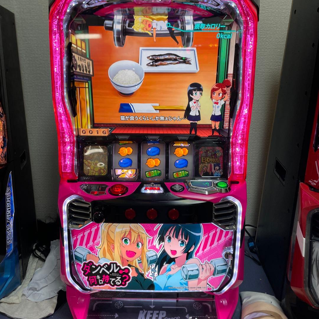 ダンベル何キロ持てる？ スロット実機 送料込