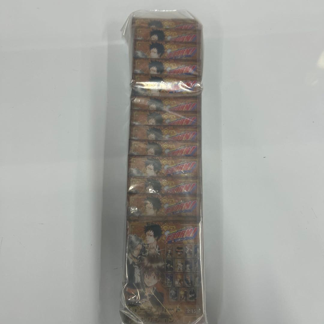 家庭教師ヒットマンREBORN! ステータスカードコレクション未開封15個