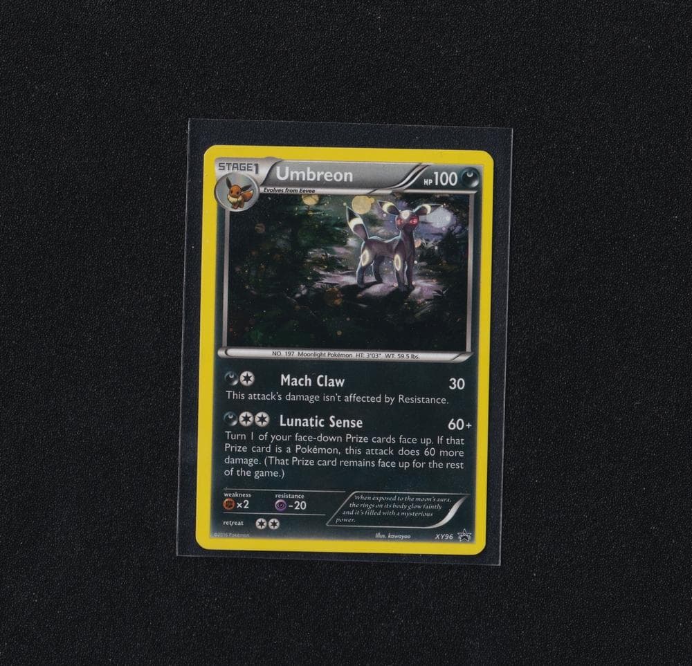 英版ブラッキー XY★プロモ