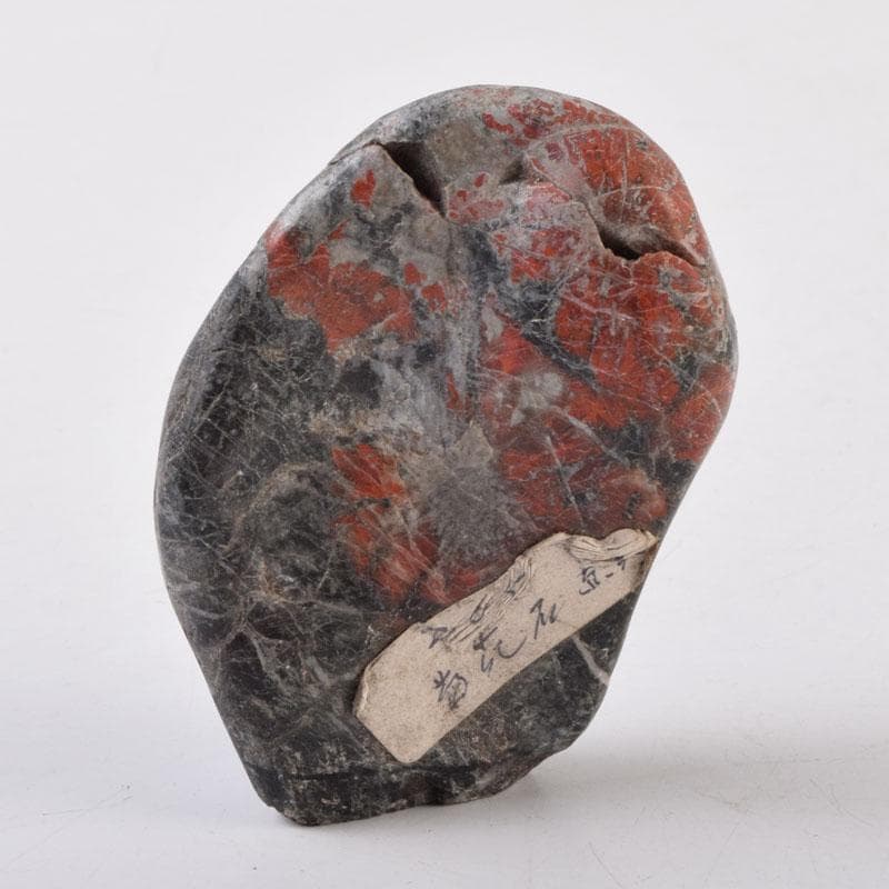 天然石　鑑賞石　菊花石　置物　重さ約111g　N　8996