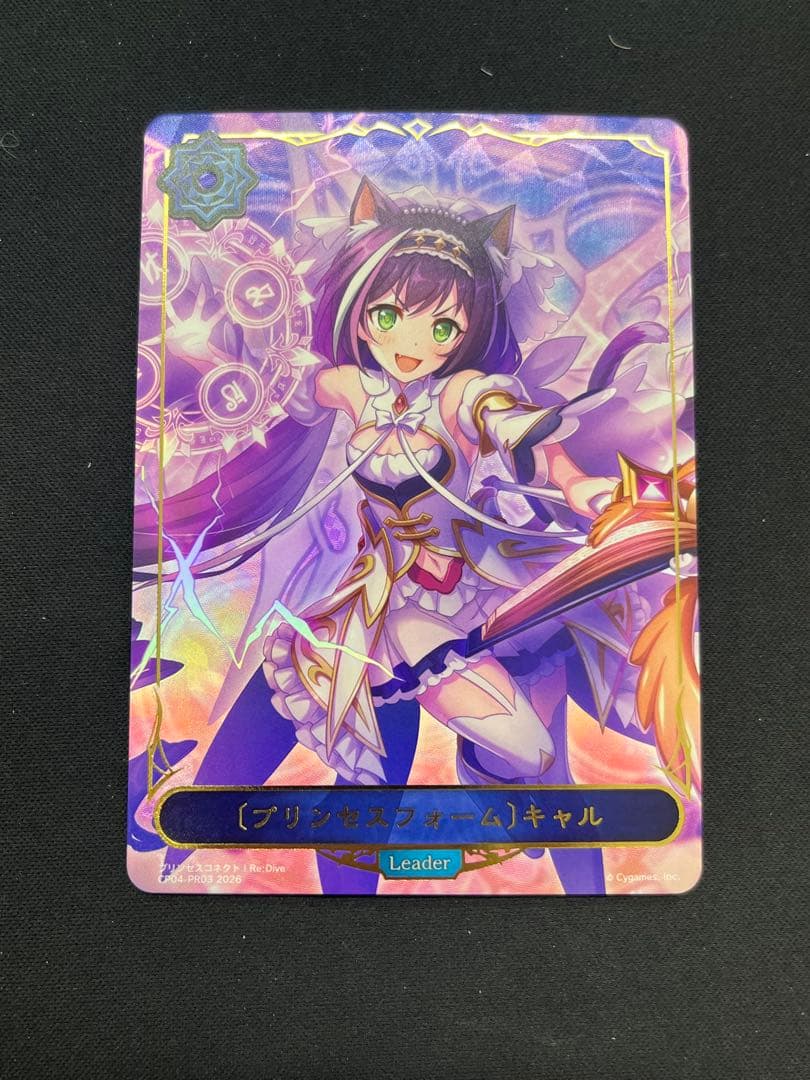 エボルヴ リーダー 〔プリンセスフォーム〕 キャル