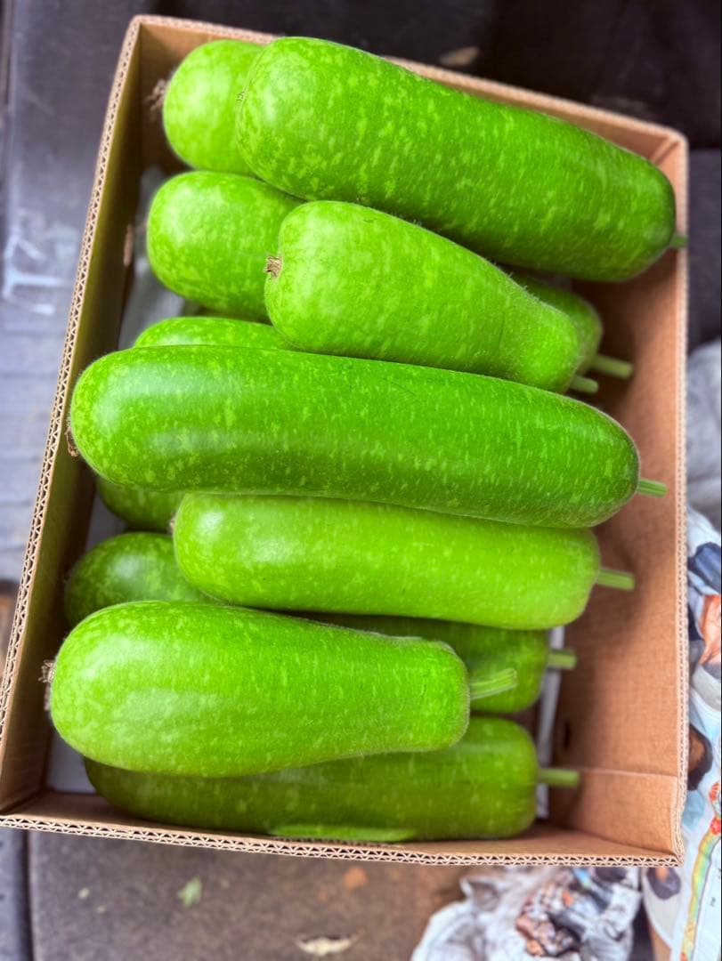 ひょうたん 約23kg （※梱包を含む）