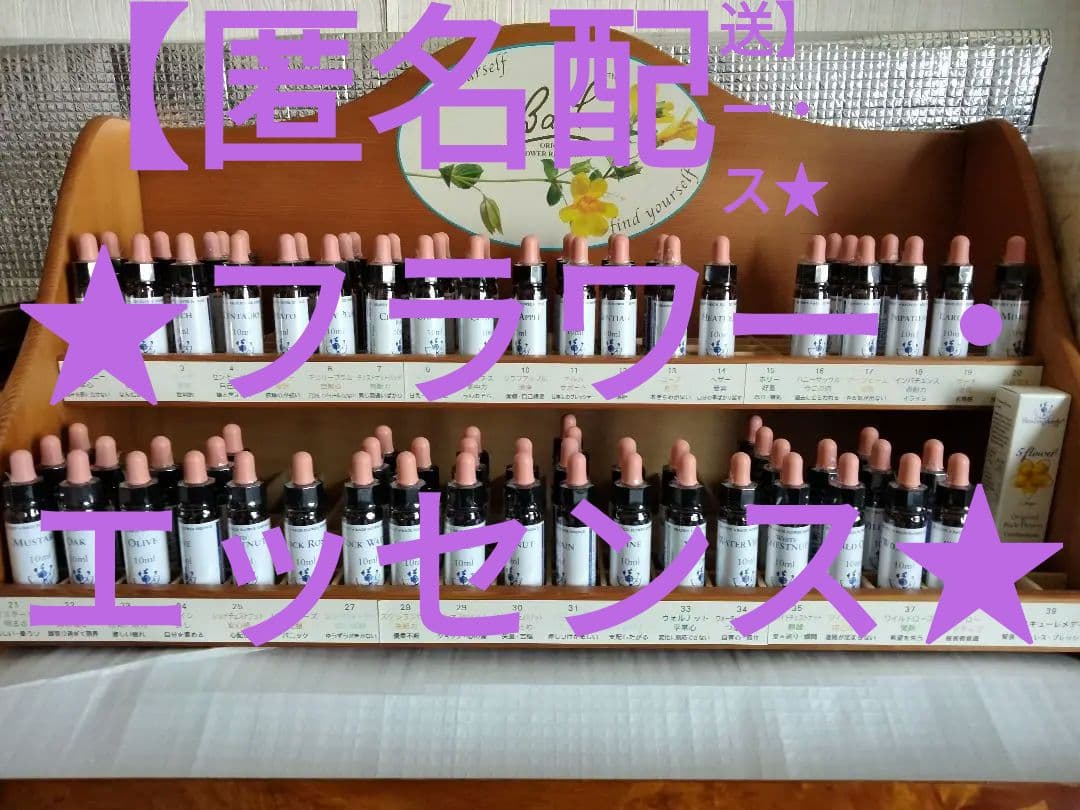 PON☆55様■ ホワイトチェストナット2 チコリ2 インパチェンス1