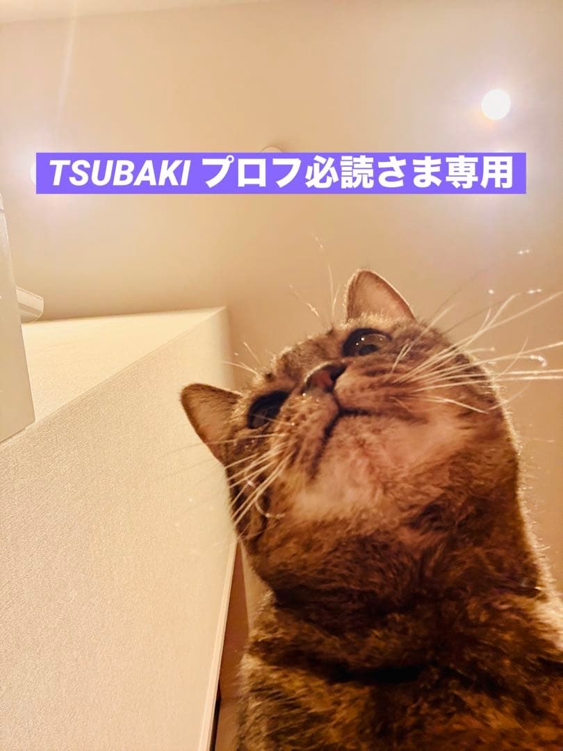 【PRADA】プラダ サフィアーノレザー トートバッグ グリーン