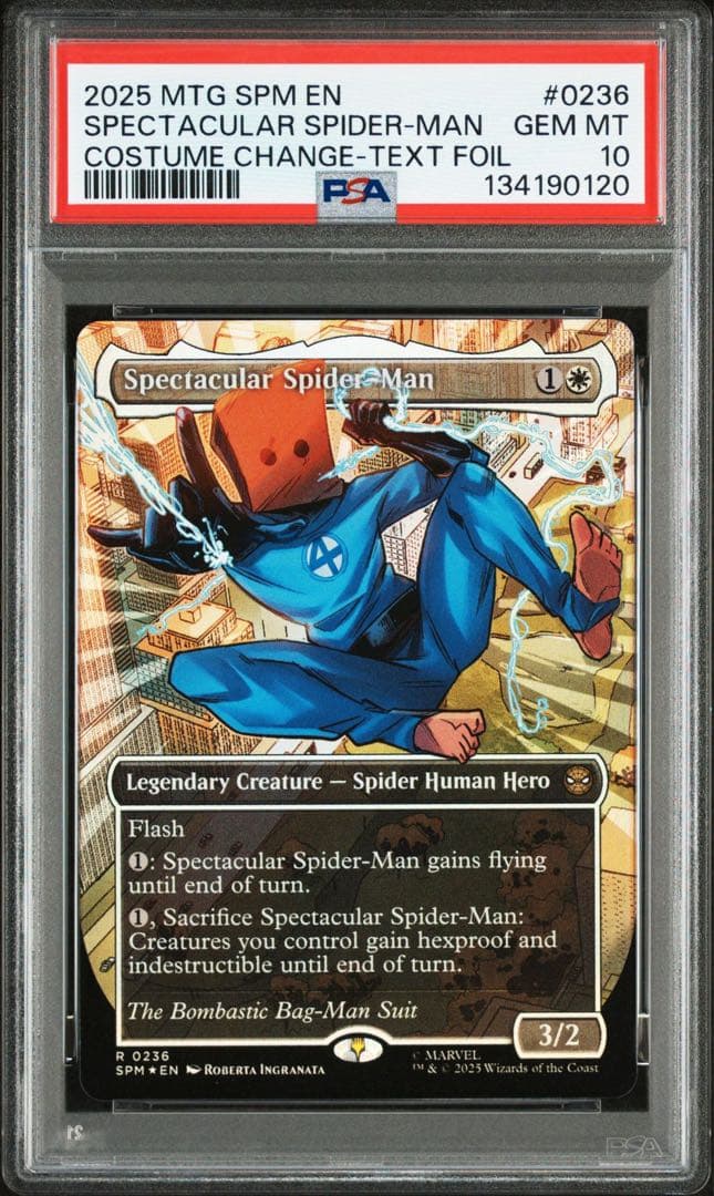 スペクタキュラー・スパイダーマン/Spectacular Spider-Man