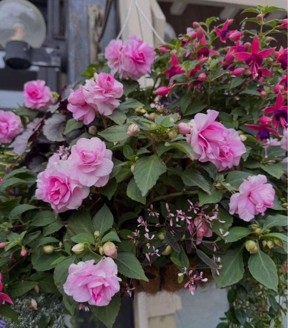 あー☆ ワコール　premium☆E70 上下セット　新品 ブラ＆ショーツセット｜ワコール直営の公式下着通販サイト ワコール