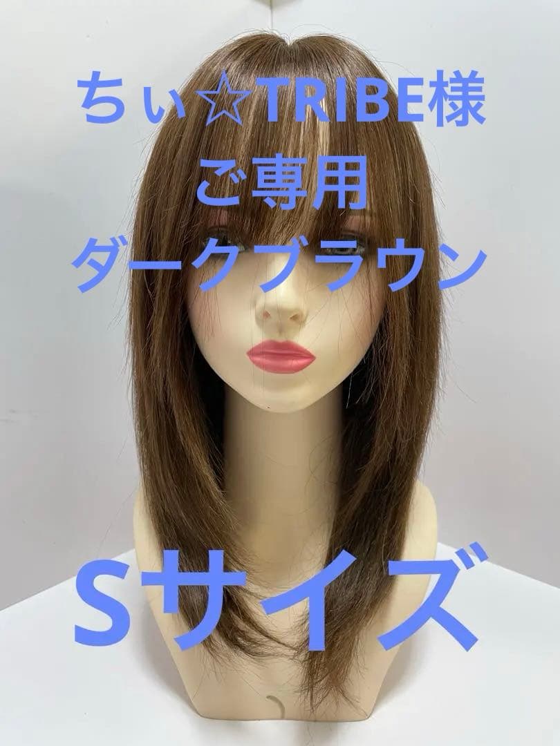 フルウィッグ人毛100%人毛ウィッグ医療ウィッグロングストレート広い頭皮Sサイズ フルウィッグ人毛100%人毛ウィッグ医療ウィッグロングストレート広い