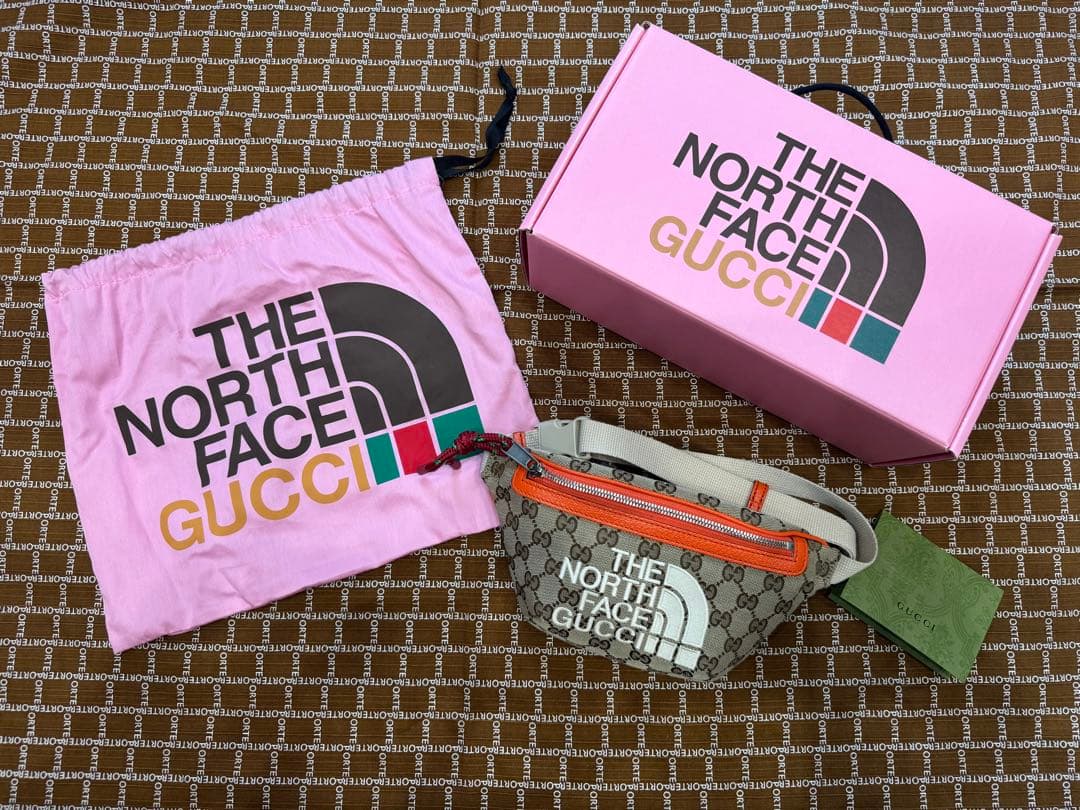 THE NORTH FACE×GUCCI ウエストバッグ サイズ95 GUCCI（グッチ） （新品・未使用品）グッチ GUCCI THE NORTH FACE x