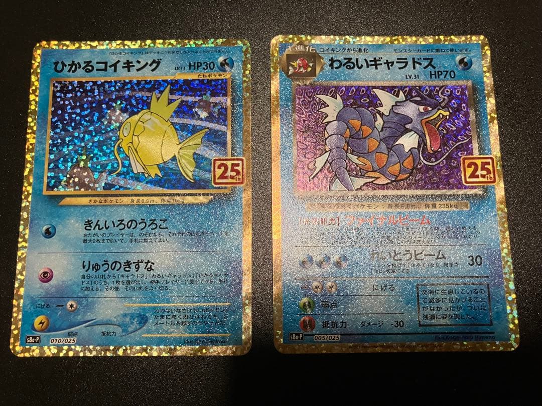 ひかるコイキング & わるいギャラドス 25th