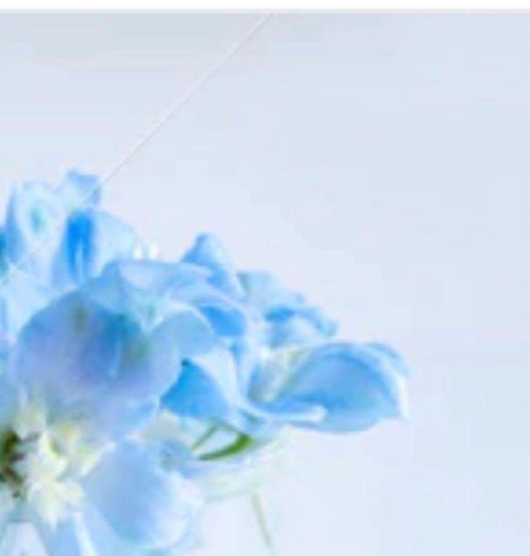 Kadu EX W2 クレンジング