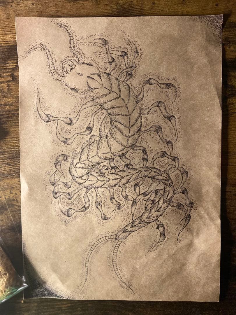 蜈蚣　百足　ムカデ　むかで　イラスト