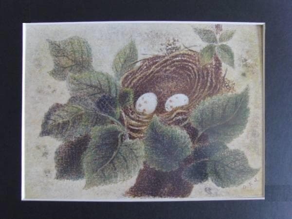 岡鹿之助、【巣】、希少な額装用画集より、美品、日本人画家、新品額装付