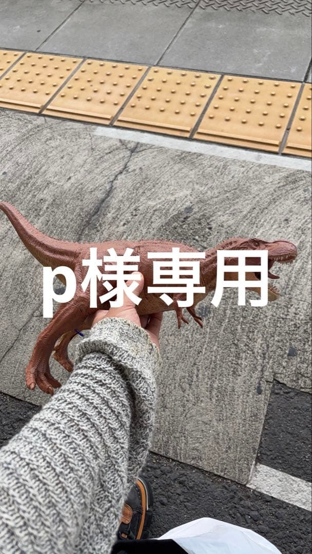 2点まとめ売り　swagger d&g How to Use Swagger Documentation [Information] : techSHIP Support