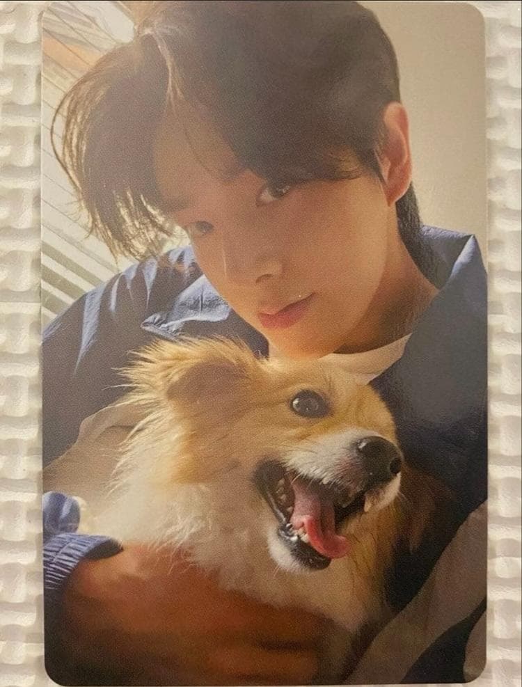 ENHYPEN アンケート トレカ JAKE ジェイク - メルカリ