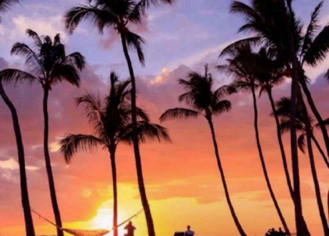 にゃん 11/1 鹿島「ワンダーニャンド」開催のお知らせ | KAWASAKI FRONTALE