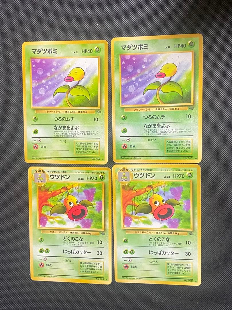 ポケカ マダツボミ LV.11 ウツドンLV.28 旧裏 進化ライン まとめ