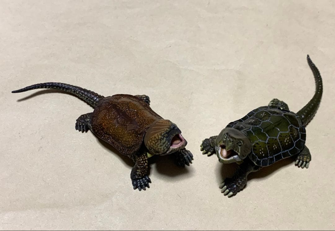 海洋堂　チョコQ シークレット　オオアタマガメ　2種セット　フィギュア