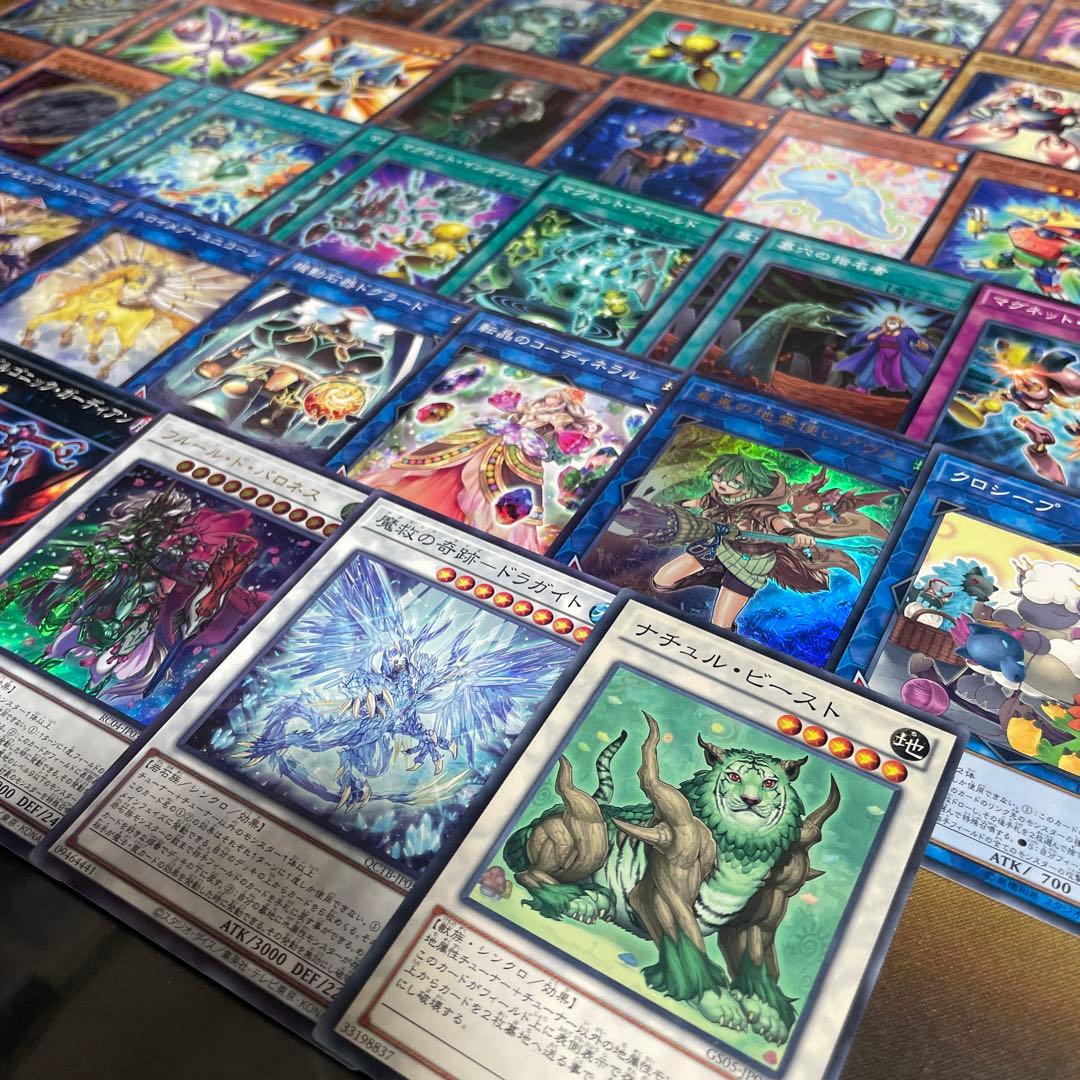 本格構築 磁石の戦士デッキ リニアマグナム デューテリオン 電磁石の