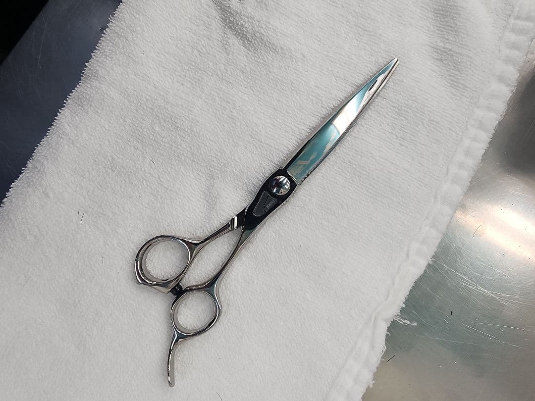 トギノン　マリン