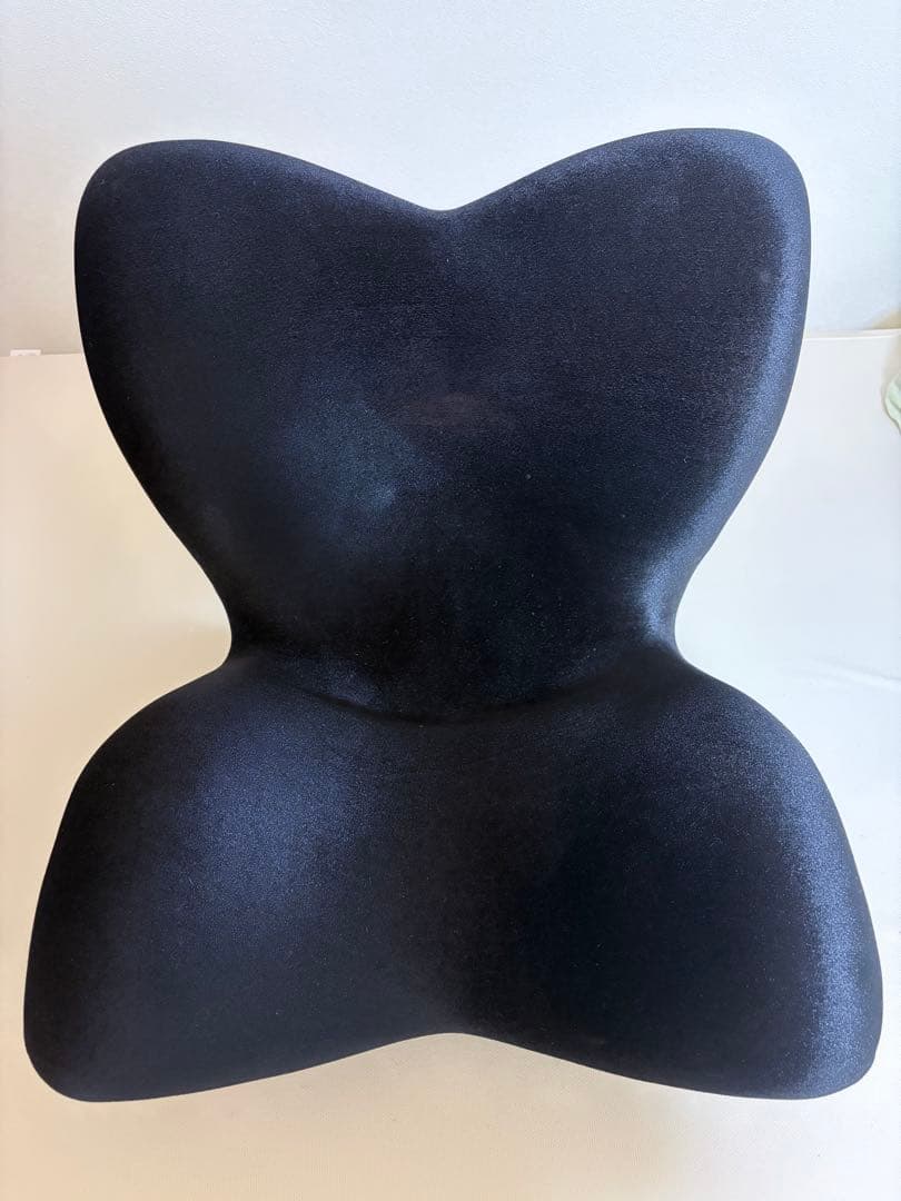 Style PREMIUM DX スタイルプレミアム デラックス 姿勢 猫背】スタイル プレミアム | Style PREMIUM | MTG ONLINESHOP