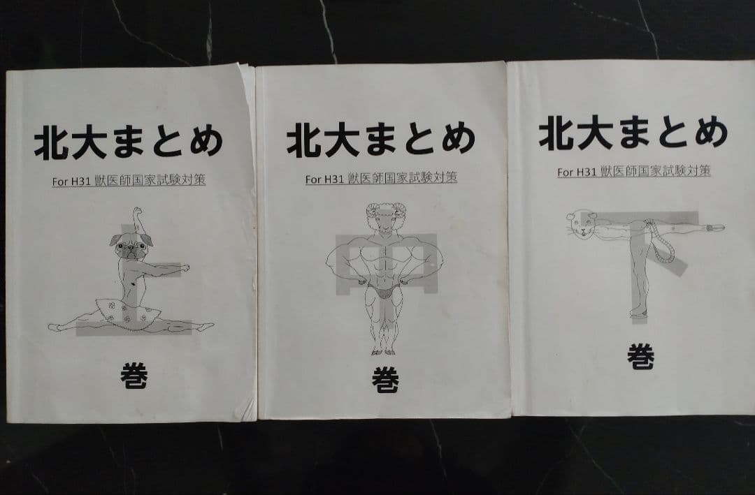 国家試験対策】北大まとめ 上・中・下 - メルカリ