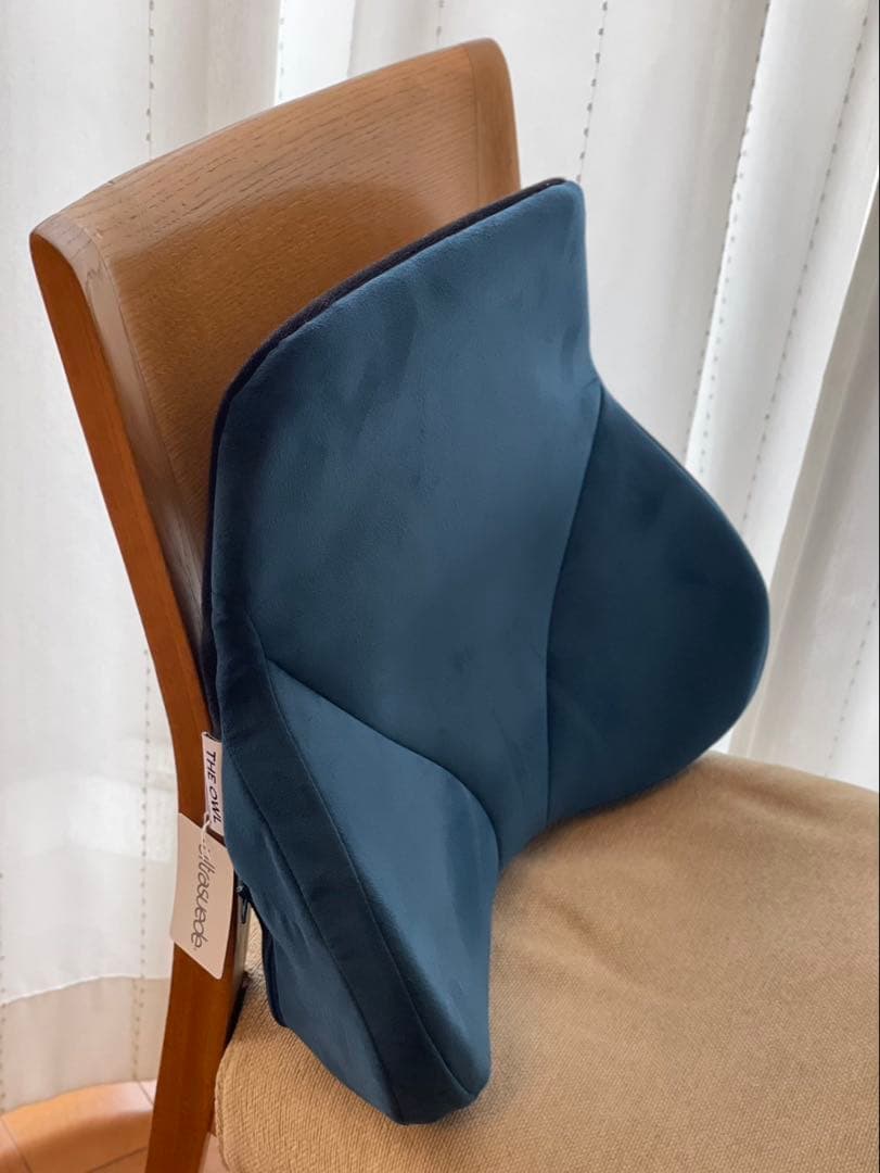 THE OWL バッククッション（ブルー）