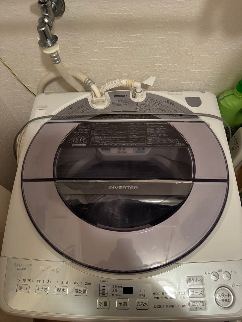 SHARP 洗濯機 ES-GV8D 8.0kg