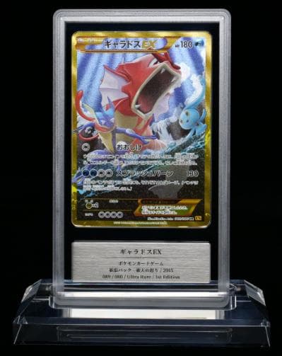 k*k様 【Gemix鑑定品】ギャラドスEX UR XY9 破天の怒り 089/