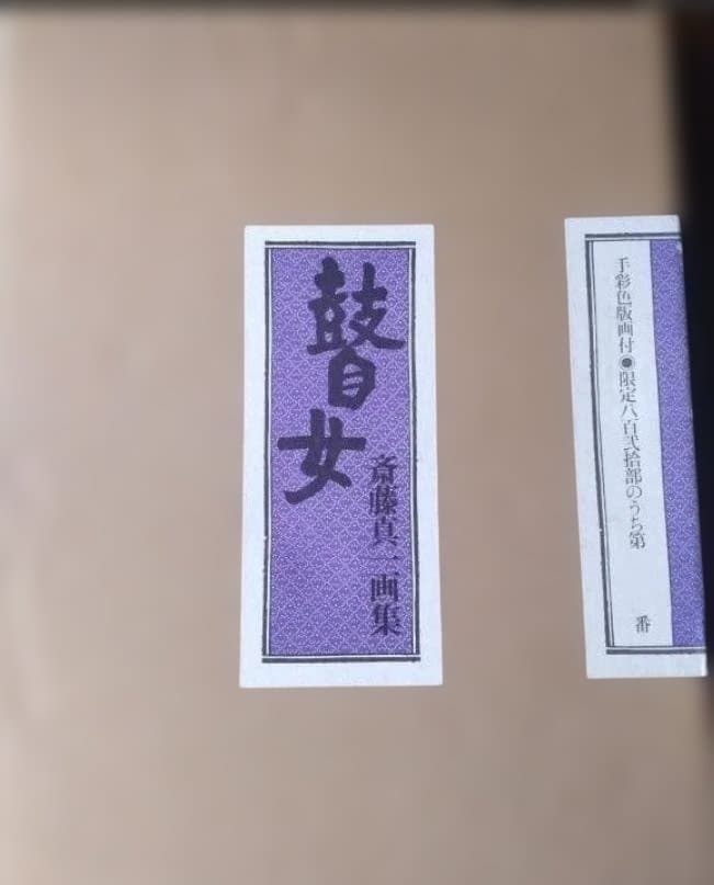 蛙女 斉藤真 画集斉藤真一 画集