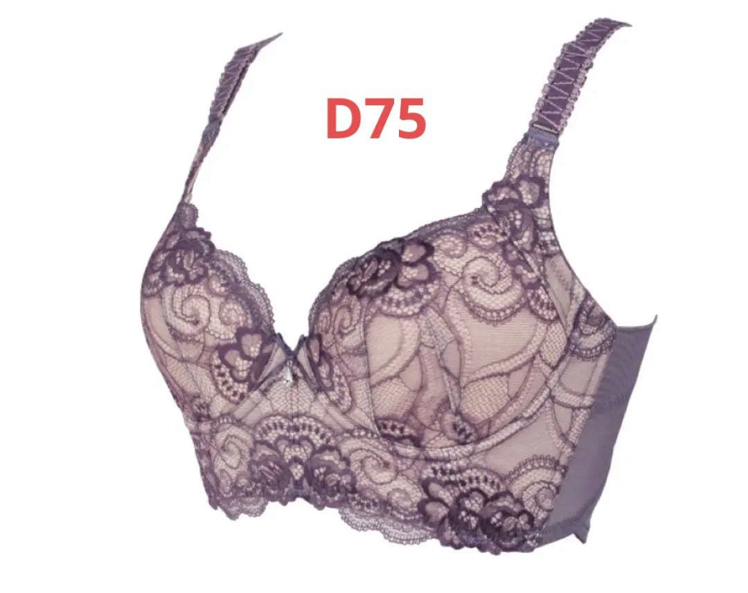 ナウクチュール　ブラジャー　D75