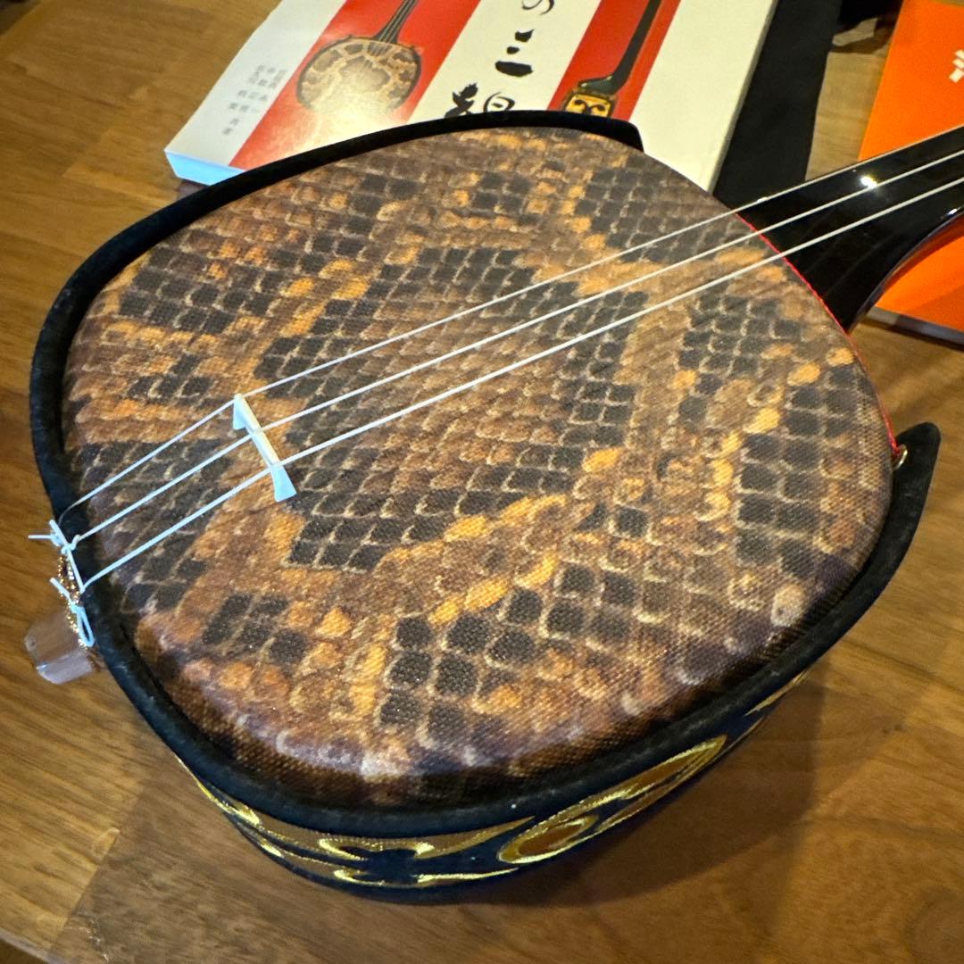 沖縄 三線 人工蛇皮製 教本付き 左利き レフティ - メルカリ