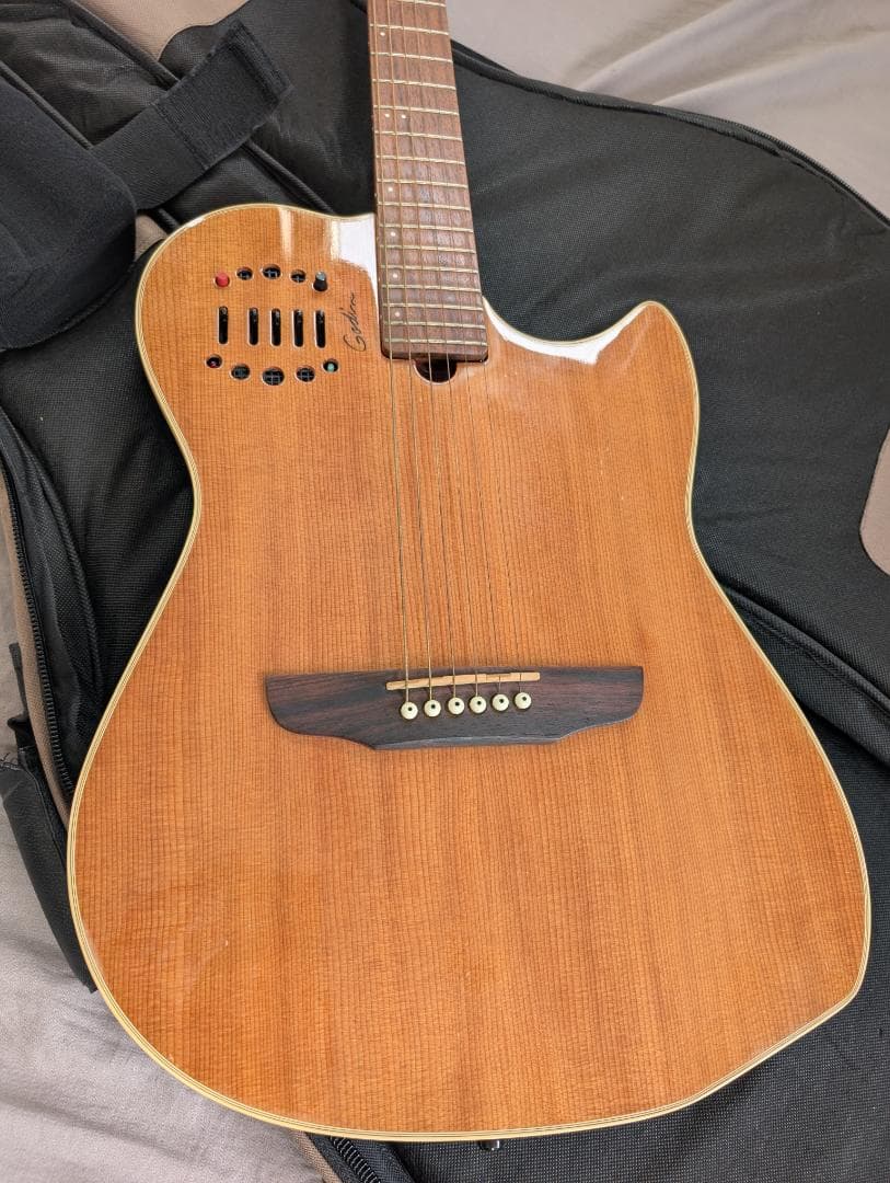 Godin Multiac Steel Duet ゴダン スチール デュエット