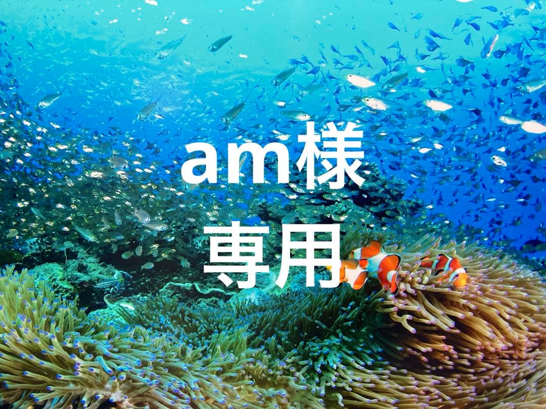 エンビロンCクエンストーナー　モイスチャークリーム4 デリケートジェル