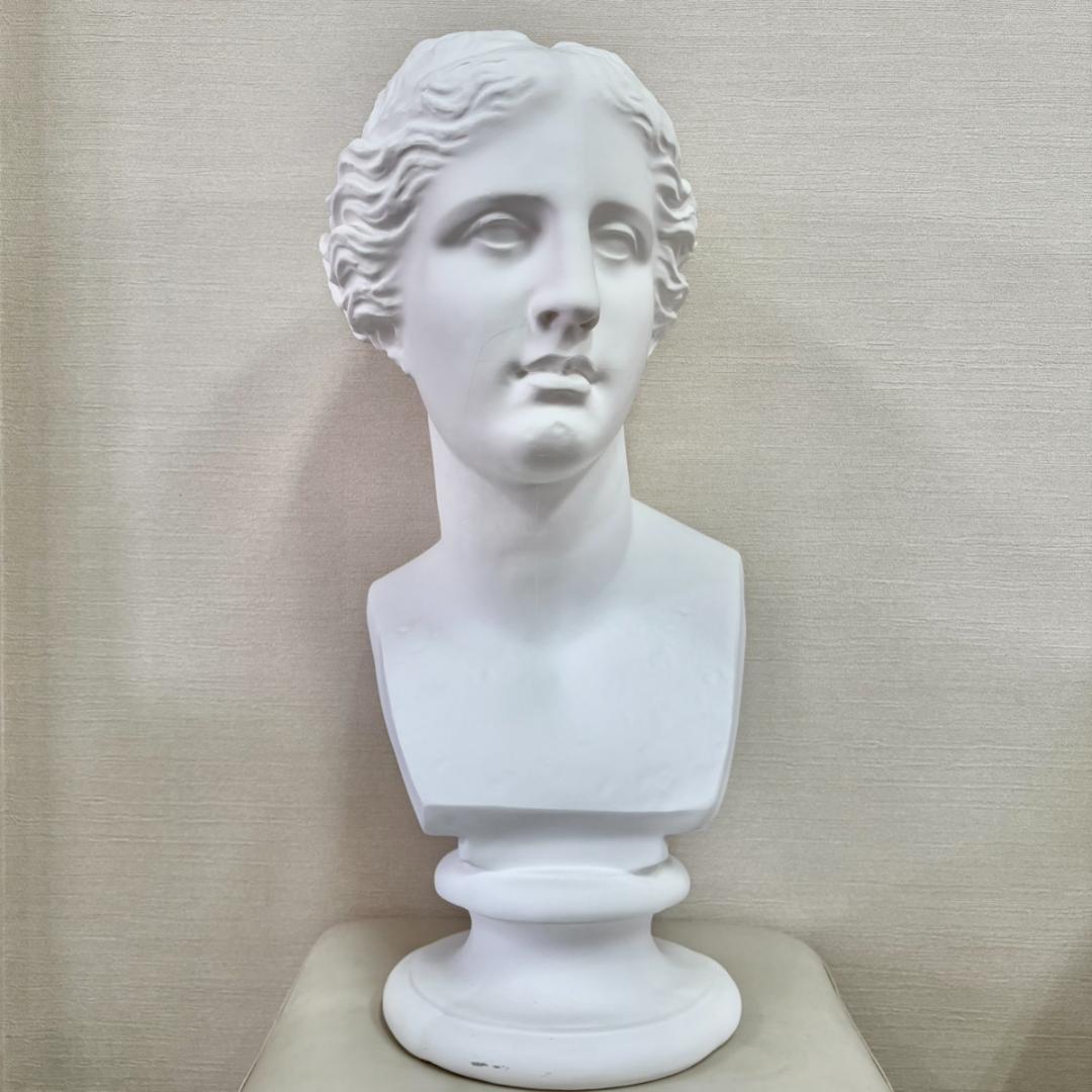 ヴィーナス胸像 デッサン用 石膏像 胸像 中古 教材 オブジェ インテリア 美術 ヴィーナス胸像 デッサン用 石膏像 胸像 中古 教材 オブジェ