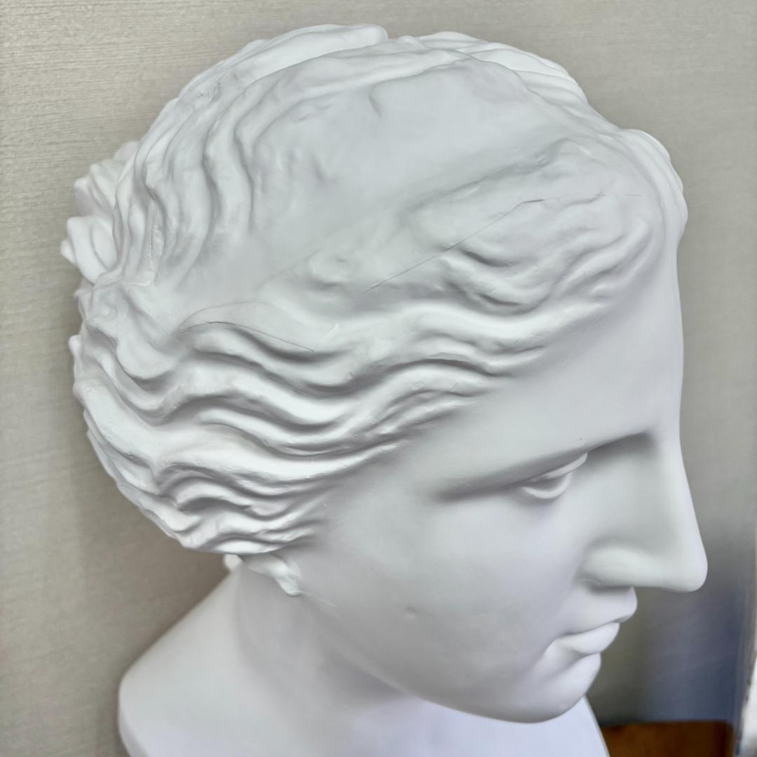 ヴィーナス胸像 デッサン用 石膏像 胸像 中古 教材 オブジェ